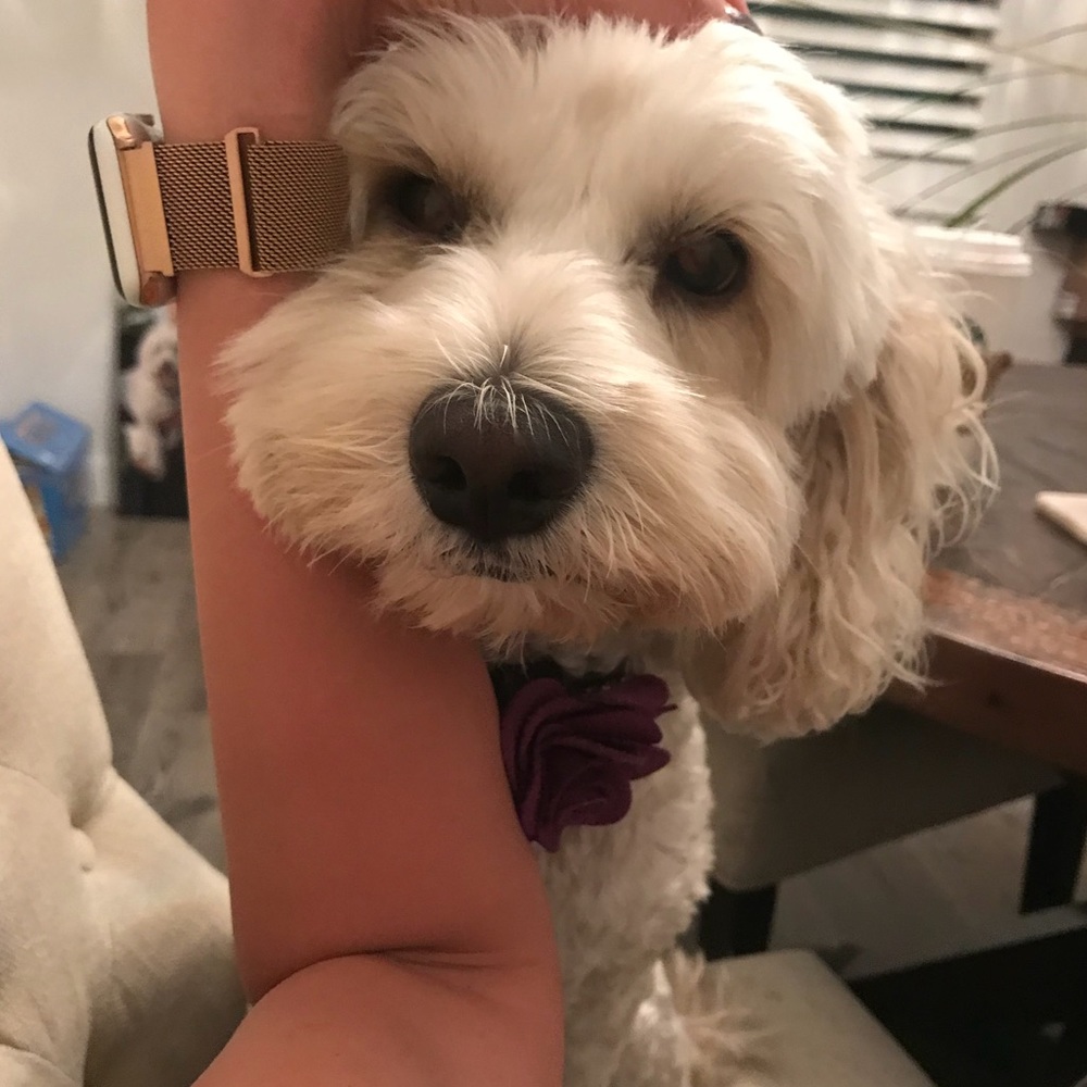 Meet your Posher, Renee